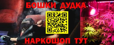 сатива Будённовск