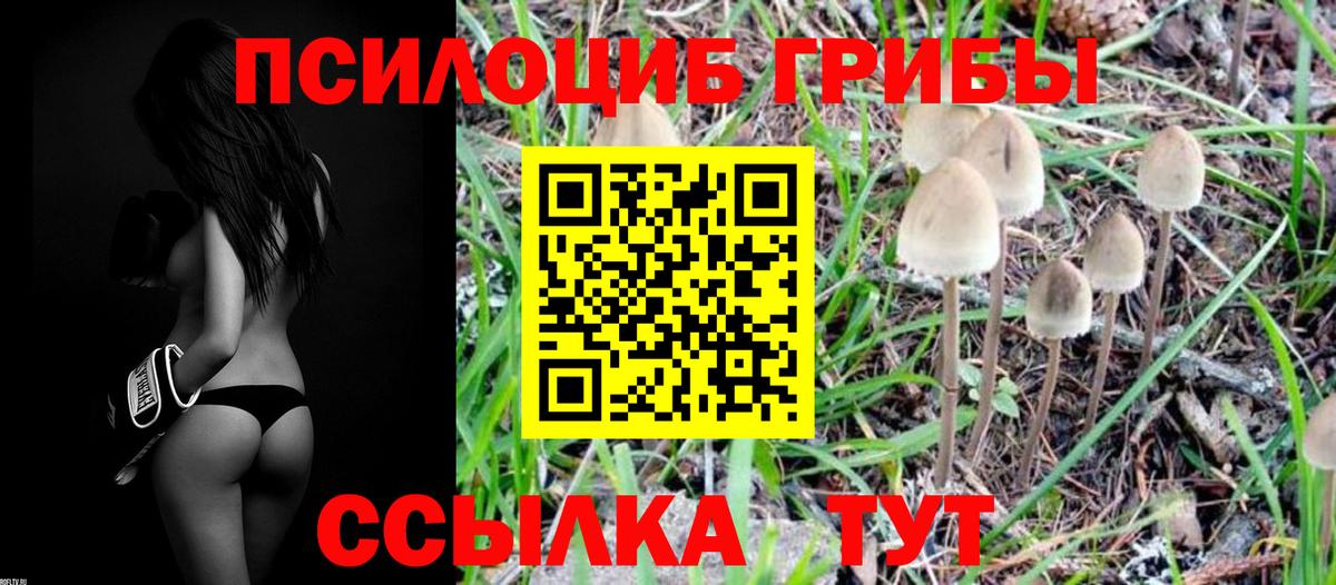 Галлюциногенные грибы Psilocybine cubensis  Вход с VPN  Одинцово  Псилоцибиновые грибы Magic Shrooms 
